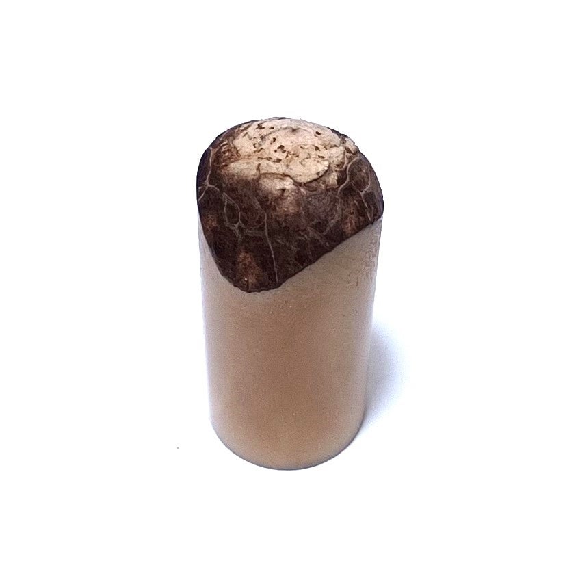 象牙椰子(18✕40mm)鮫田流 甲州手彫り印／売上金額の5％をアフリカ象の